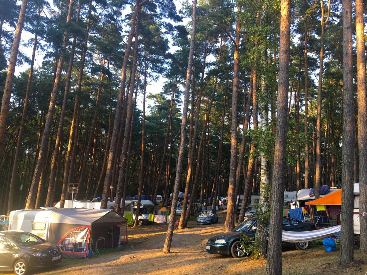 Camping nr 71 pod sosnami — przyczepy i namioty