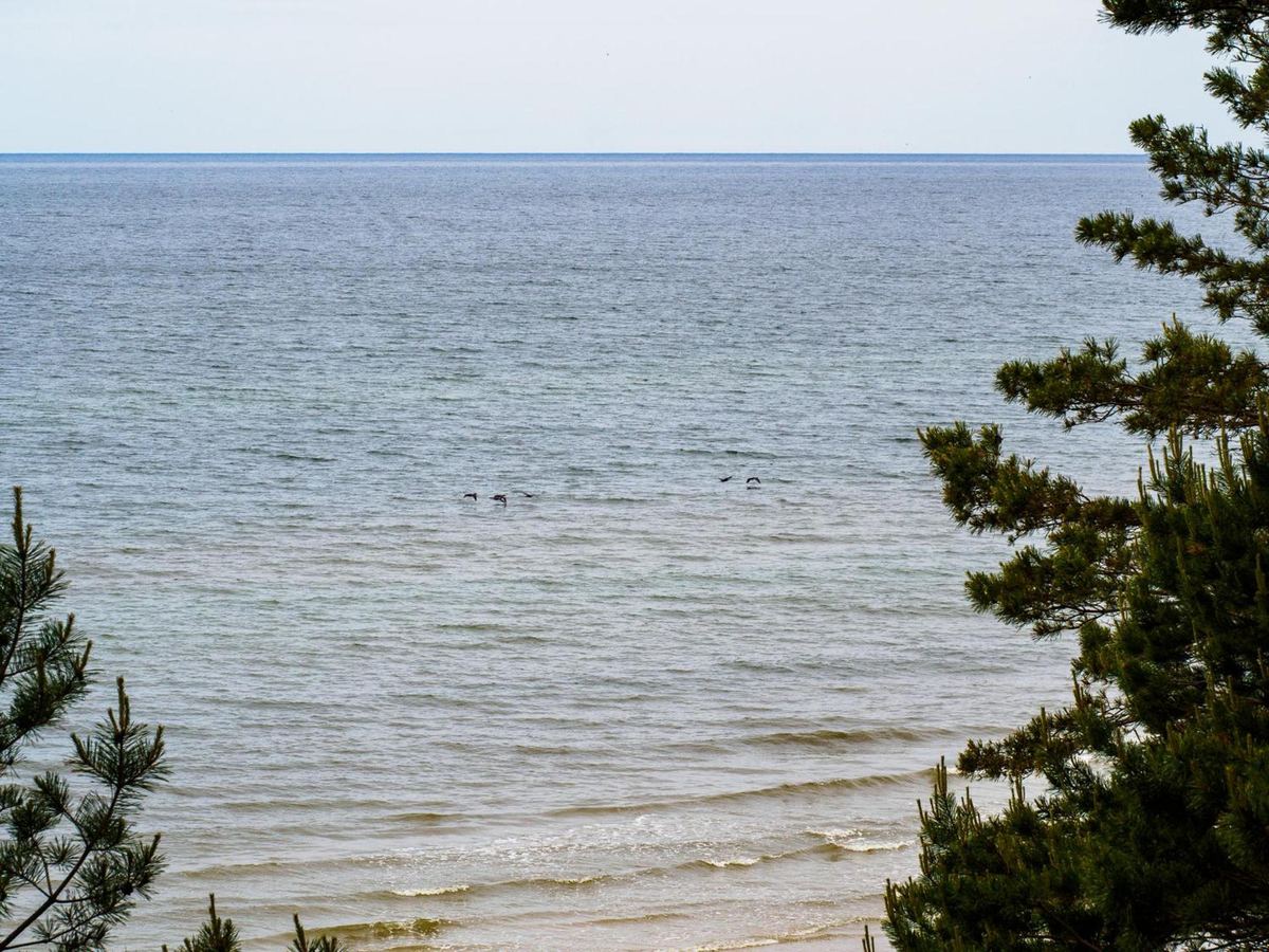 Bałtyk widziany z plaży w Krynicy Morskiej