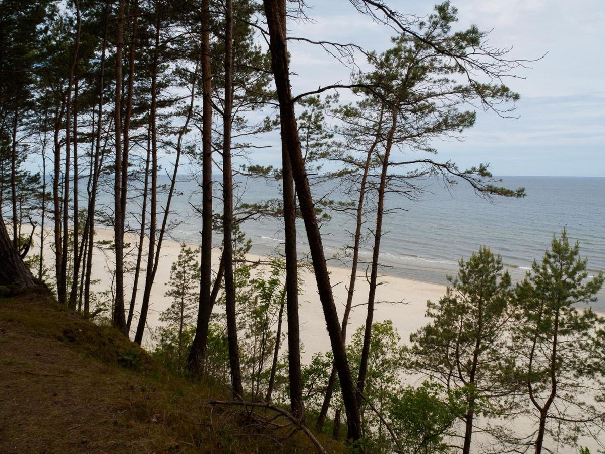 Piaszczysta plaża widziana z sosnowej wydmy, 150 m od ośrodka
